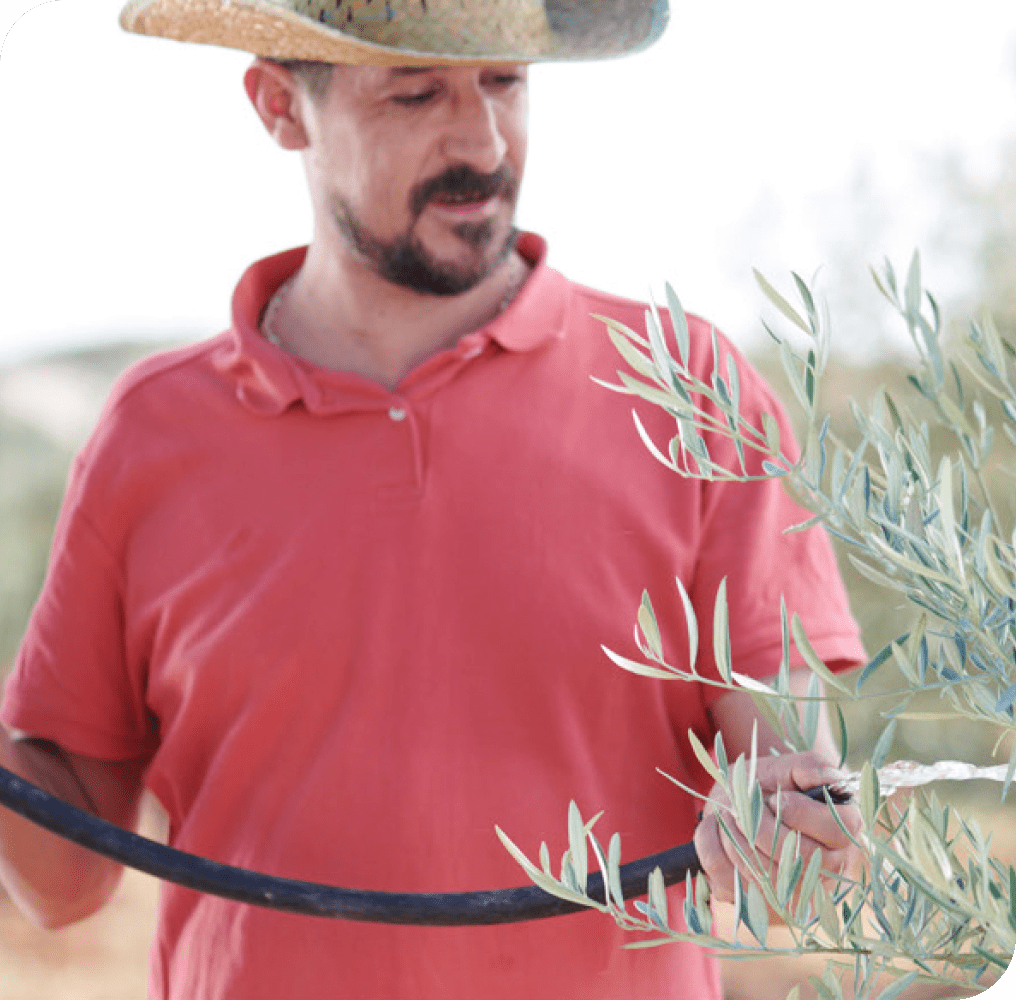 Pompeian Farmer ALVAR