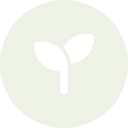 semi transparent leaf icon